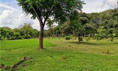 Venta de Finca en Bejuco de Chame, Panamá Oeste