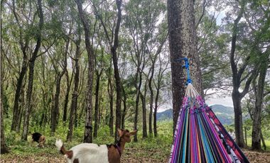 Venta de Finca en Bejuco de Chame, Panamá Oeste