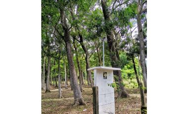 Venta de Finca en Bejuco de Chame, Panamá Oeste