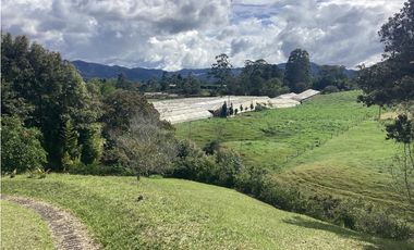 Arriendo casa campestre amoblada en La Ceja con lago