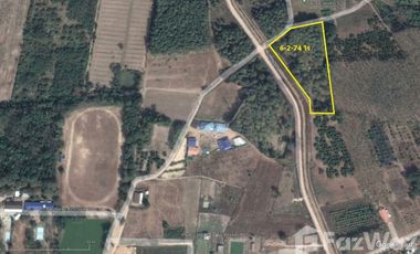 Land for sale in Wiang, Chiang Rai