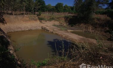 Land for sale in Wiang, Chiang Rai