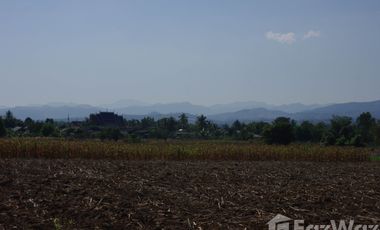 Land for sale in Wiang, Chiang Rai