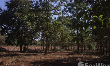 Land for sale in Wiang, Chiang Rai