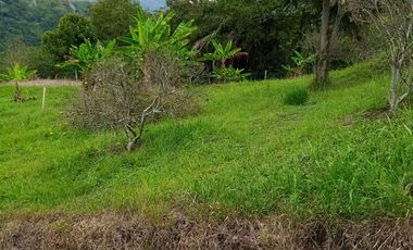 LOTE EN VENTA EN ARAUCA/CALDAS