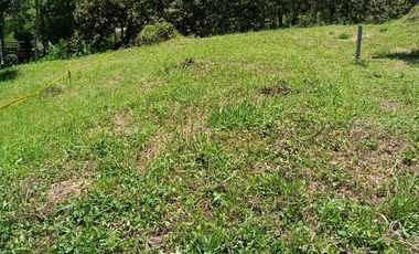 LOTE EN VENTA EN ARAUCA/CALDAS