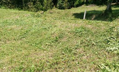 LOTE EN VENTA EN ARAUCA/CALDAS