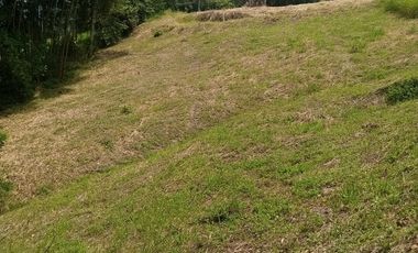 LOTE EN VENTA EN ARAUCA/CALDAS