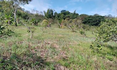 LOTE EN VENTA EN ARAUCA/CALDAS