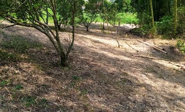 LOTE EN VENTA EN ARAUCA/CALDAS