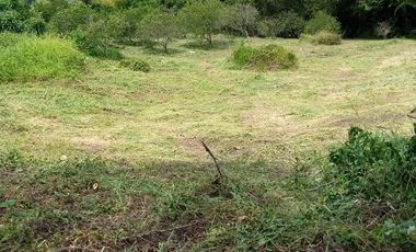LOTE EN VENTA EN ARAUCA/CALDAS