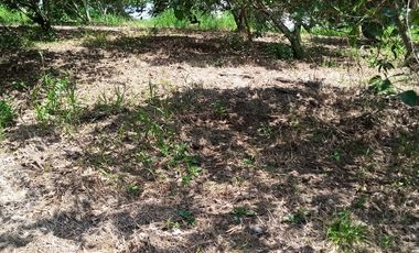 LOTE EN VENTA EN ARAUCA/CALDAS