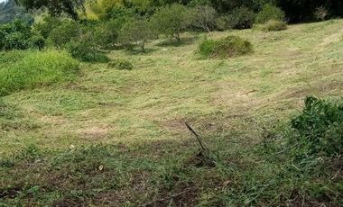 LOTE EN VENTA EN ARAUCA/CALDAS