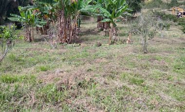 LOTE EN VENTA EN ARAUCA/CALDAS