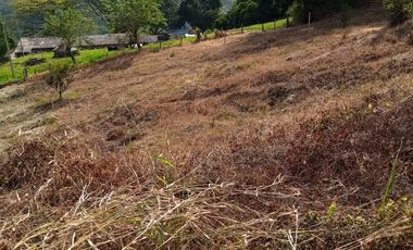 LOTE EN VENTA EN ARAUCA/CALDAS