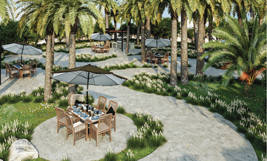 Terrenos FRENTE AL MAR en PREVENTA  en la Riviera Veracruzana