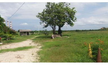 Lote Industrial en Venta en Soledad, Atlántico
