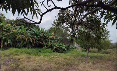 Lote Industrial en Venta en Soledad, Atlántico