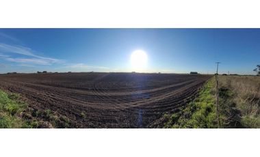 Se vende espectacular campo de 32 hectáreas en Otamendi.