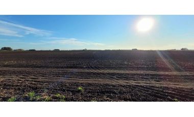 Se vende espectacular campo de 32 hectáreas en Otamendi.