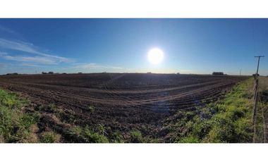 Se vende espectacular campo de 32 hectáreas en Otamendi.