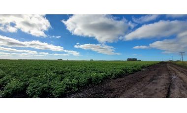 Se vende espectacular campo de 32 hectáreas en Otamendi.