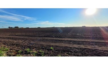 Se vende espectacular campo de 32 hectáreas en Otamendi.