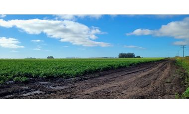 Se vende espectacular campo de 32 hectáreas en Otamendi.