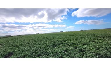Se vende espectacular campo de 32 hectáreas en Otamendi.