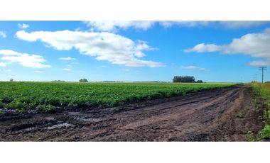 Se vende espectacular campo de 32 hectáreas en Otamendi.