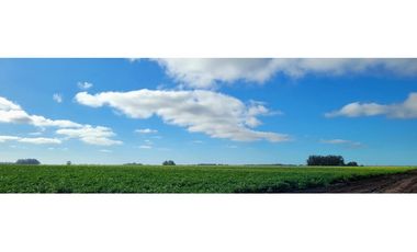 Se vende espectacular campo de 32 hectáreas en Otamendi.