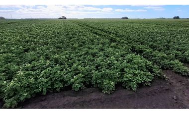 Se vende espectacular campo de 32 hectáreas en Otamendi.