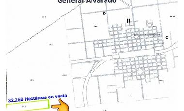 Se vende espectacular campo de 32 hectáreas en Otamendi.