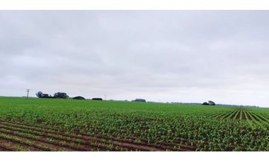 Se vende espectacular campo de 32 hectáreas en Otamendi.