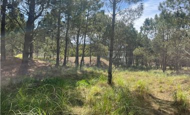 Lote en Venta COSTA ESMERALDA Marítimo III 59