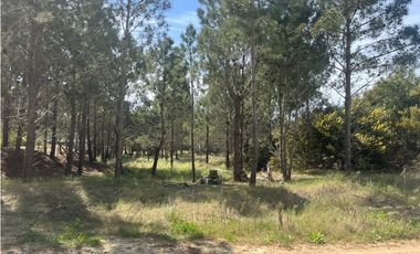 Lote en Venta COSTA ESMERALDA Marítimo III 59