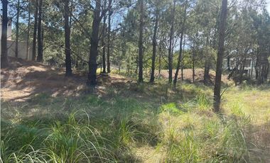 Lote en Venta COSTA ESMERALDA Marítimo III 59