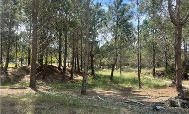 Lote en Venta COSTA ESMERALDA Marítimo III 59