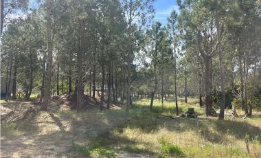 Lote en Venta COSTA ESMERALDA Marítimo III 59