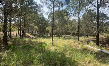 Lote en Venta COSTA ESMERALDA Marítimo III 59