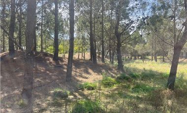 Lote en Venta COSTA ESMERALDA Marítimo III 59