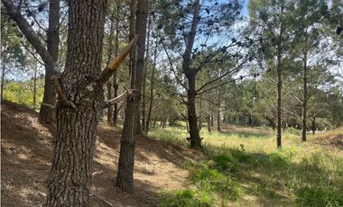 Lote en Venta COSTA ESMERALDA Marítimo III 59