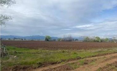 Agrícola en Venta en 35°34