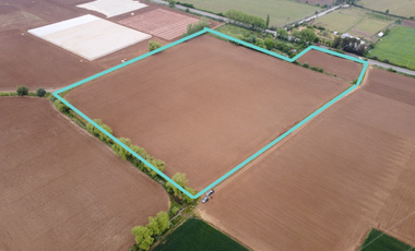 Agrícola en Venta en 35°34