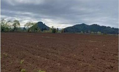 Agrícola en Venta en 35°34