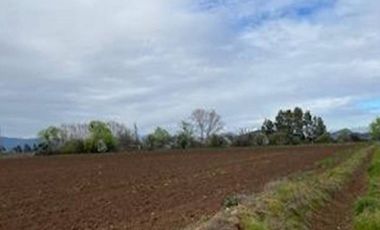 Agrícola en Venta en 35°34