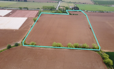Agrícola en Venta en 35°34
