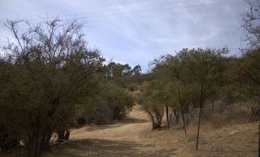 ¡Vive la Serenidad de la Naturaleza en Lomas del Sol, Quilpué!