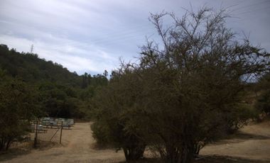 ¡Vive la Serenidad de la Naturaleza en Lomas del Sol, Quilpué!
