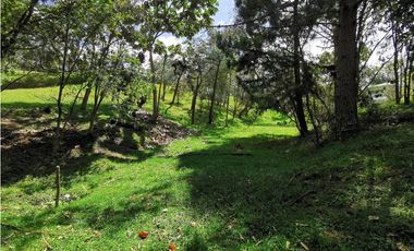 Venta de lote en el alto de las Palmas